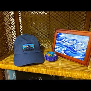 Patagonia Baseball Hat